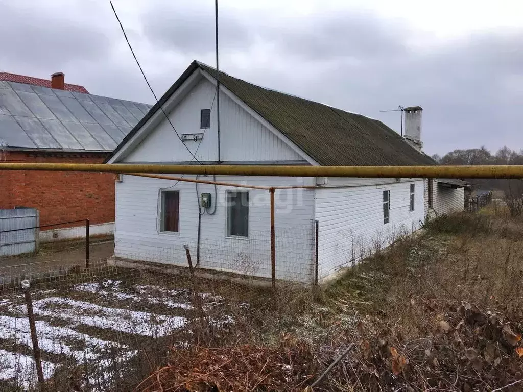 Дом в Тамбовская область, Тамбов городской округ, с. Бокино ул. ... - Фото 1