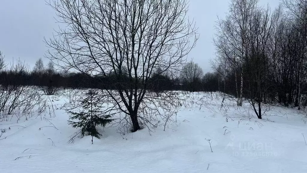 Участок в Московская область, Истра муниципальный округ, пос. ... - Фото 1