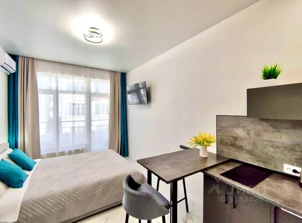 1-к кв. Краснодарский край, Сочи ул. Ленина, 290/7к1 (27.0 м) - Фото 1