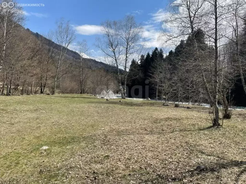 Участок в Урупский район, посёлок Пхия (50 м) - Фото 1