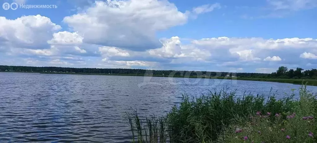 Участок в Курганская область, Кетовский муниципальный округ, деревня ... - Фото 1