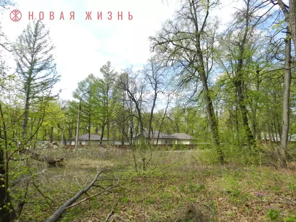 Участок в Самарская область, Самара Студеный Овраг сдт, (6.4 сот.) - Фото 0