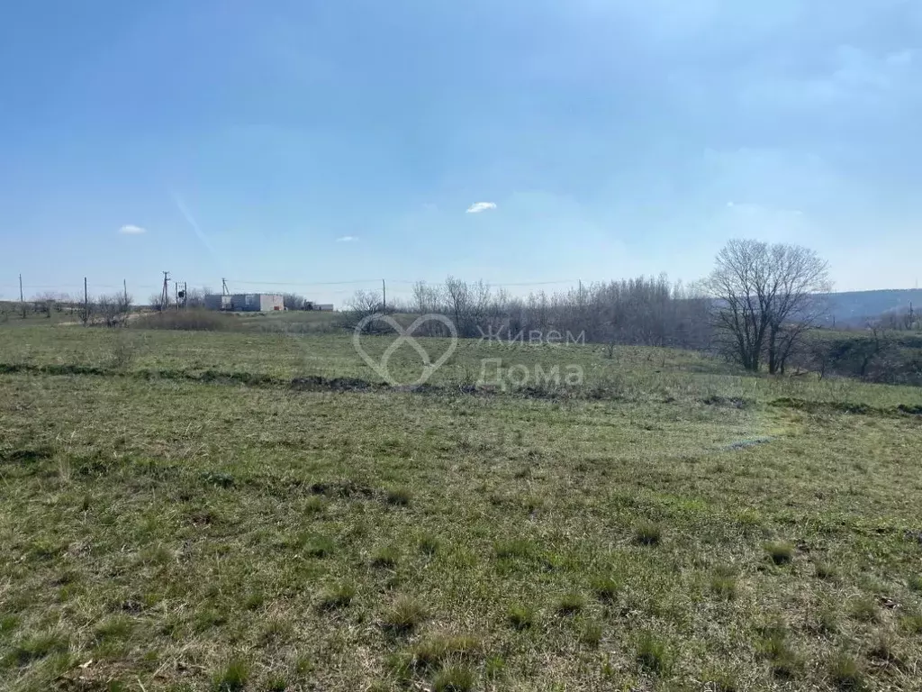 Участок в Волгоградская область, Городищенский район, Царицынское ... - Фото 2