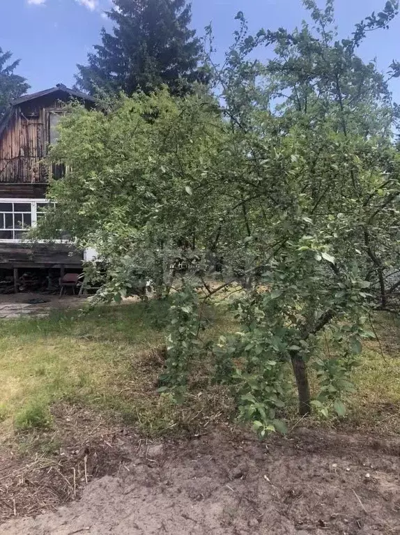 Участок в Новосибирская область, Новосибирский район, Березовский ... - Фото 2