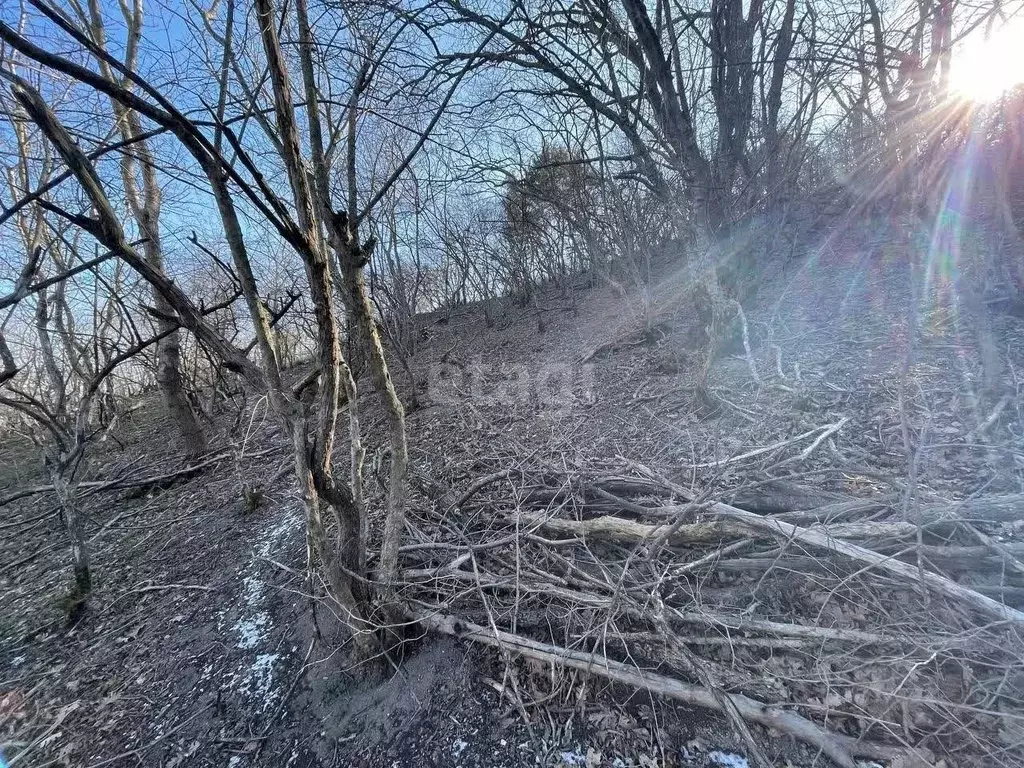 Участок в Краснодарский край, Новороссийск городской округ, с. Мысхако ... - Фото 1
