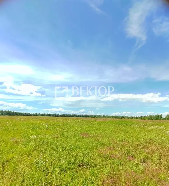 Участок в Костромская область, Кострома Цветочная ул. (8.0 сот.) - Фото 2