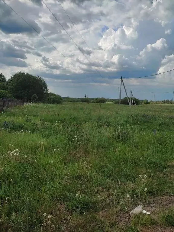 Участок в Новгородская область, Новгородский район, Ермолинское с/пос, ... - Фото 0