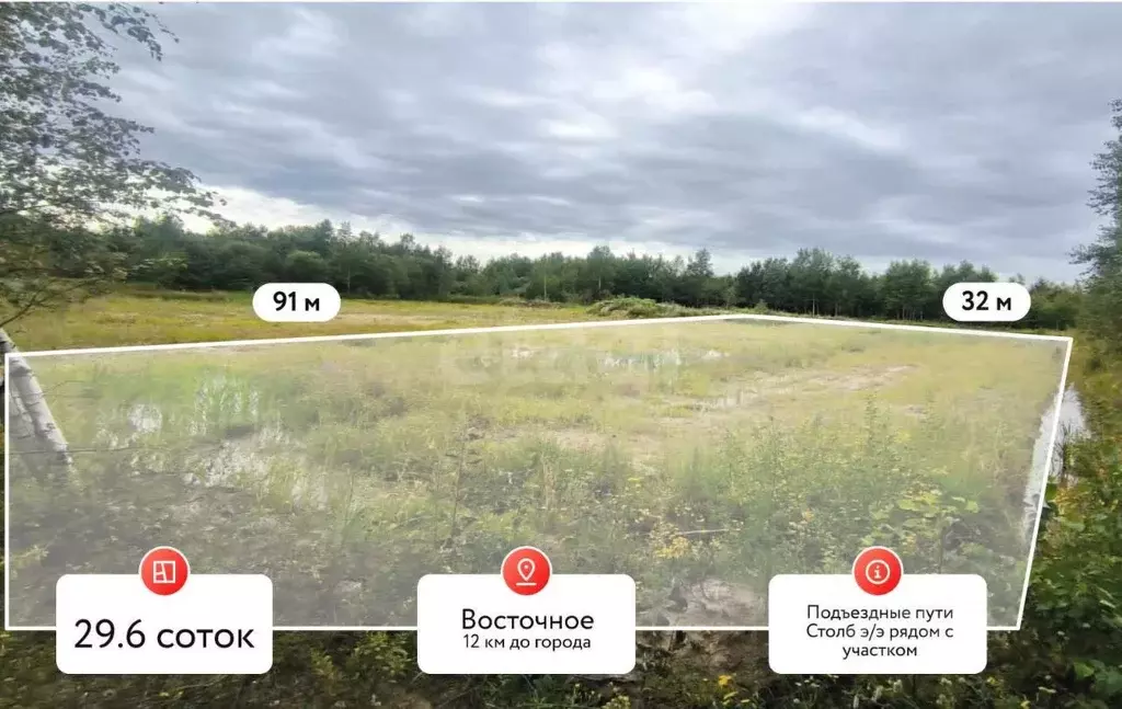 Участок в Хабаровский край, Хабаровский район, с. Восточное  (29.58 ... - Фото 1