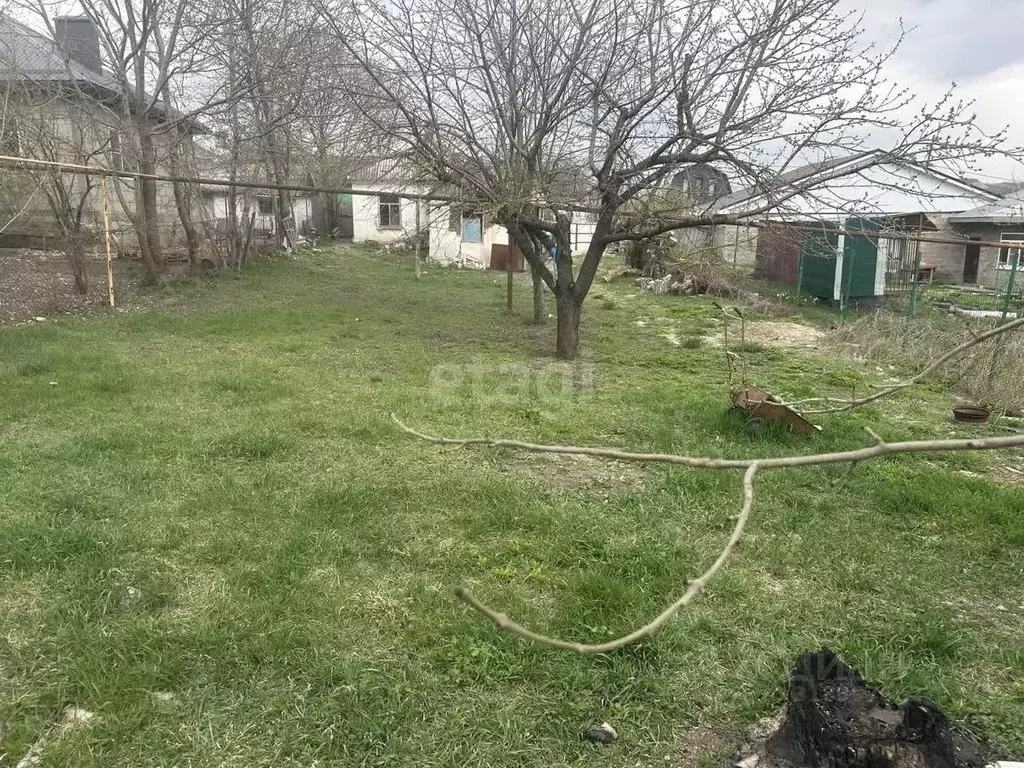 Участок в Краснодарский край, Новороссийск городской округ, пос. ... - Фото 1