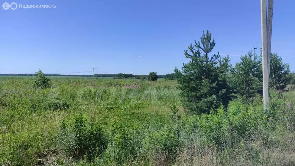 Участок в Тюменский район, село Каменка (28.5 м) - Фото 1