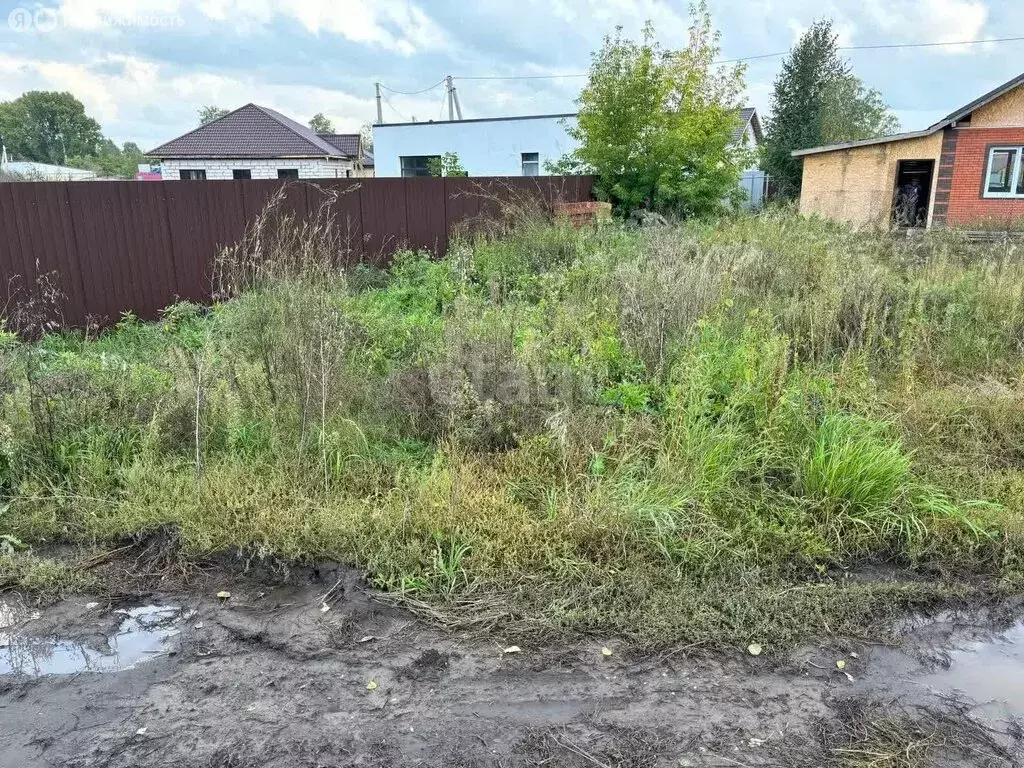 Участок в Новосибирский район, Морской сельсовет, село Ленинское (5.56 ... - Фото 0