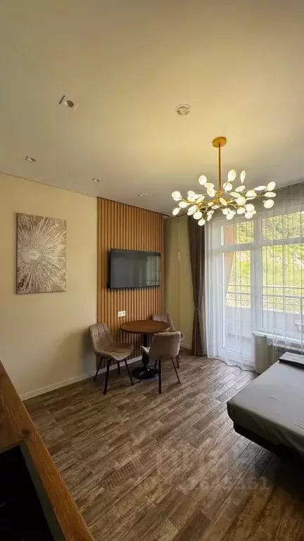 1-к кв. Краснодарский край, Сочи ул. Ленина, 290/6 (30.0 м) - Фото 1