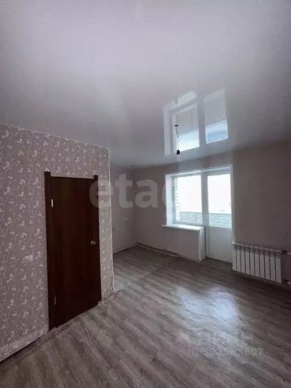 Студия Амурская область, Благовещенский район, с. Чигири Лесная ул., ... - Фото 1