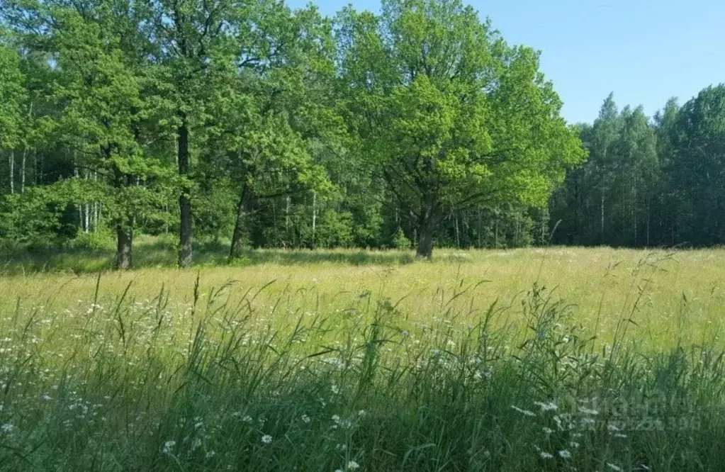 Участок в Ярославская область, Рыбинский муниципальный округ, д. ... - Фото 1