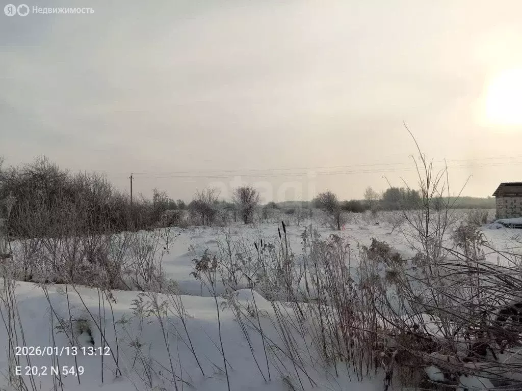 Участок в Калининградская область, Гурьевский муниципальный округ, ... - Фото 1