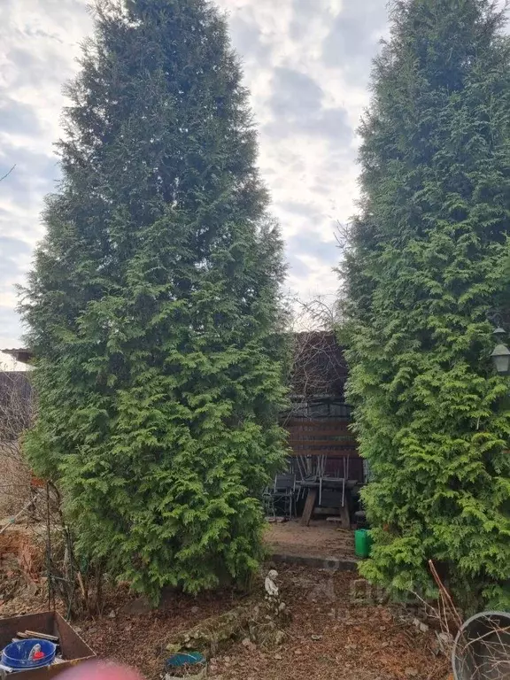 Дом в Санкт-Петербург пос. Стрельна, Кшесинской пер., 8а (320 м) - Фото 2