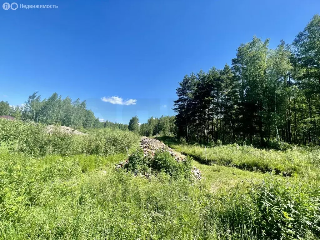 Участок в Раменский городской округ, деревня Минино (7.65 м) - Фото 1