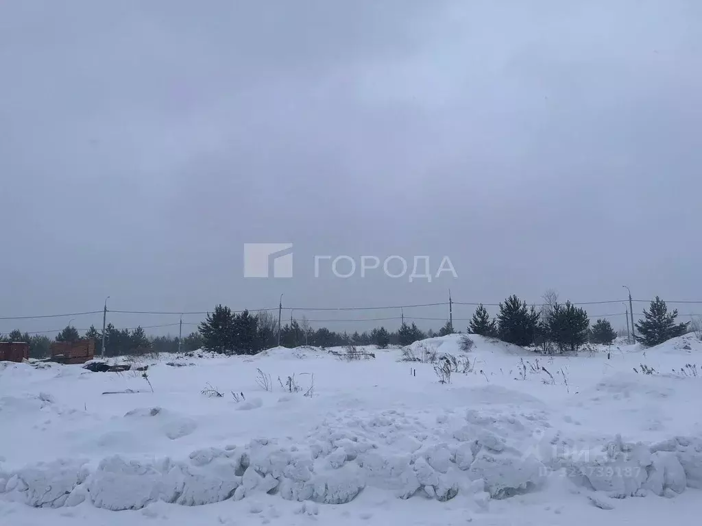 Участок в Новосибирская область, Мошковский район, пос. Октябрьский ... - Фото 2