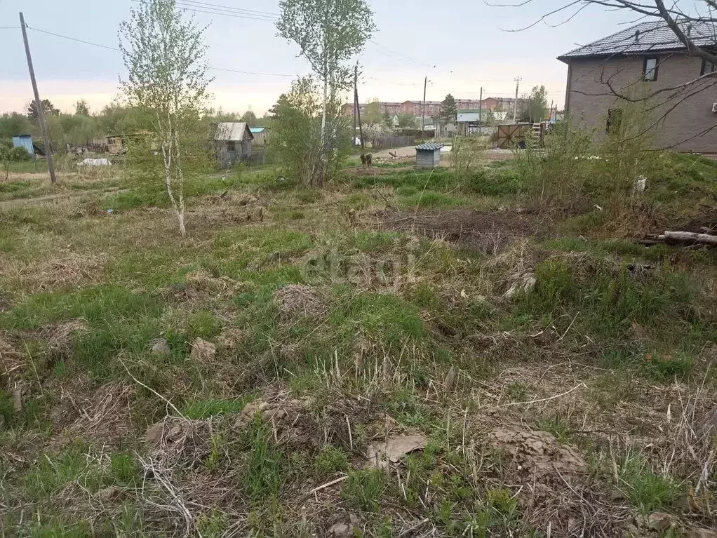 Участок в Хабаровский край, Хабаровский район, с. Мирное ул. Сиреневая ... - Фото 1