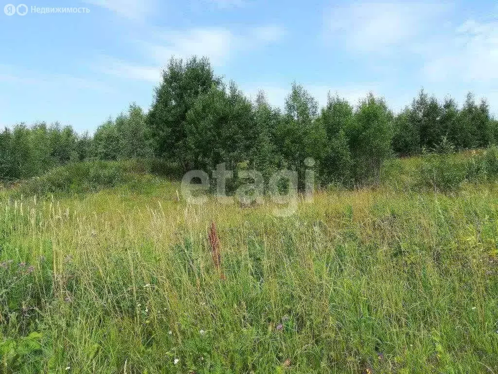 Участок в Тульская область, муниципальное образование Тула, село ... - Фото 1