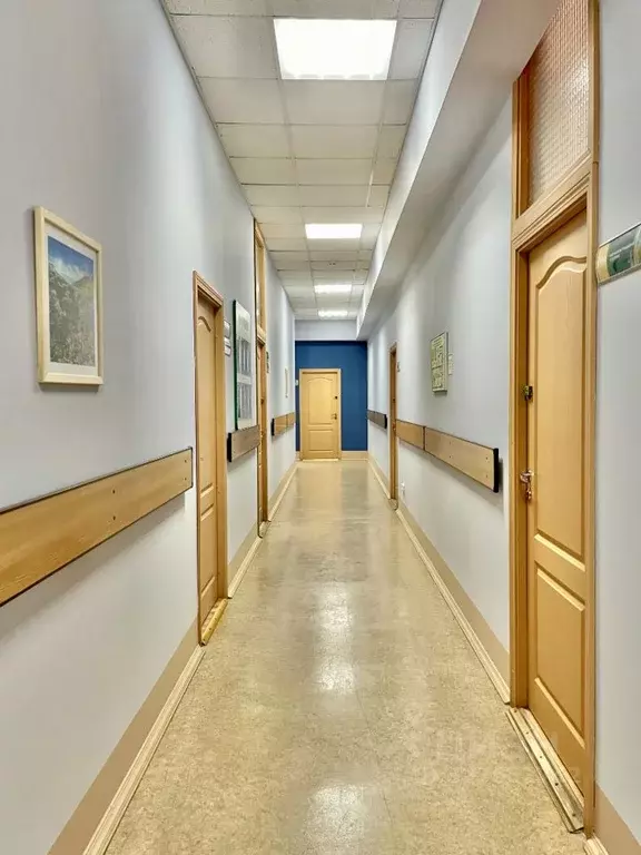 Офис в Санкт-Петербург 16-я Васильевского острова линия, 7Ч (339 м) - Фото 1