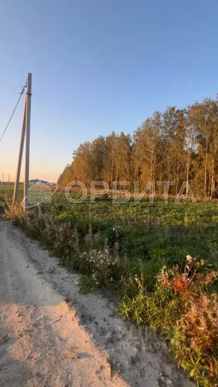 Участок в Тюменская область, Тюменский район, д. Елань 14 (7.0 сот.) - Фото 0