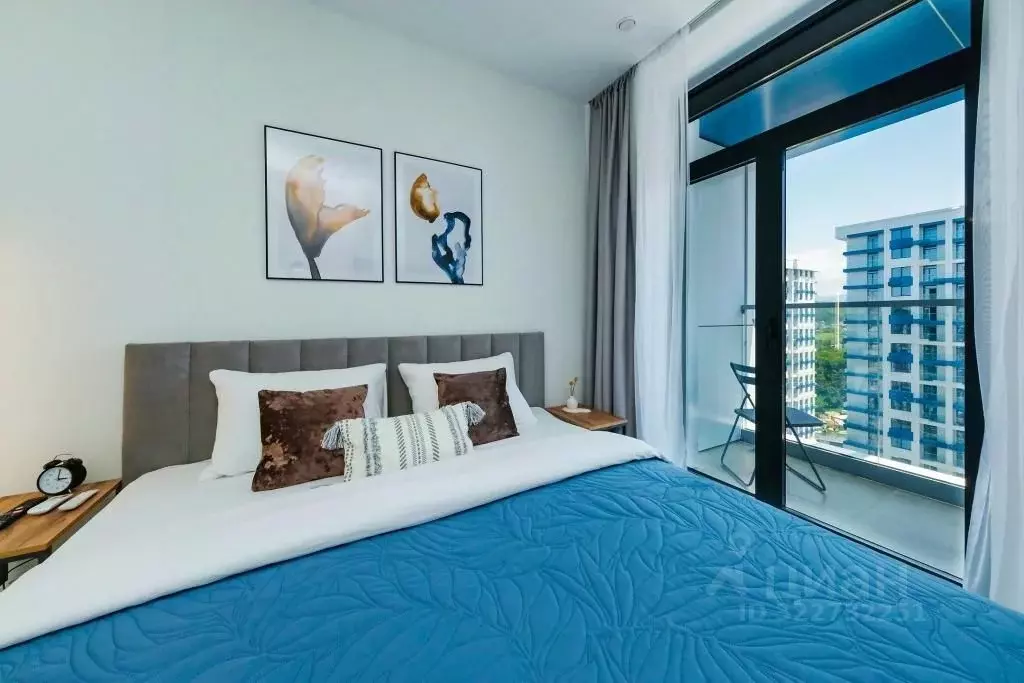 1-к кв. Краснодарский край, Сочи Пластунская ул., 55/1 (24.0 м) - Фото 1