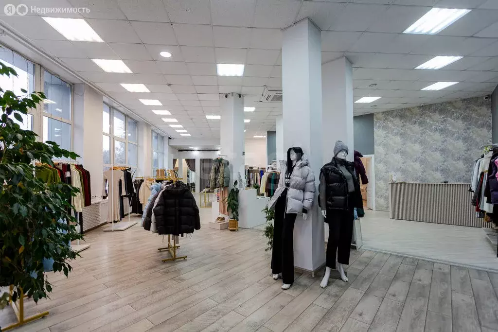 Помещение свободного назначения (216.5 м) - Фото 1