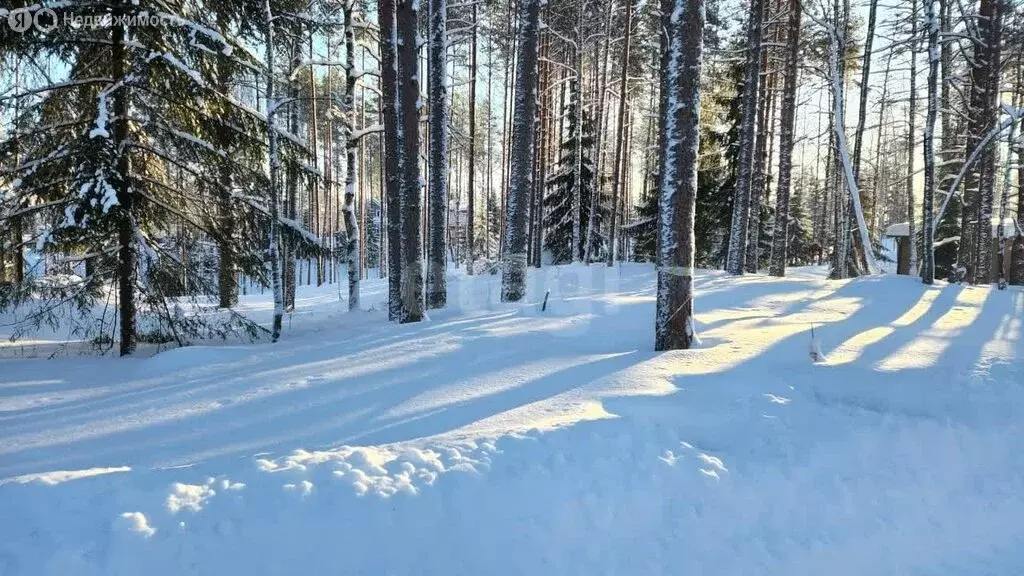 Участок в Куйвозовское сельское поселение, КП Белкино (8.92 м) - Фото 2