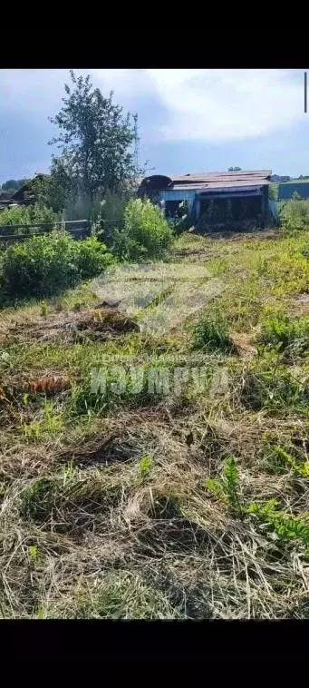 Участок в Кемеровская область, Кемеровский район, д. Береговая ... - Фото 0
