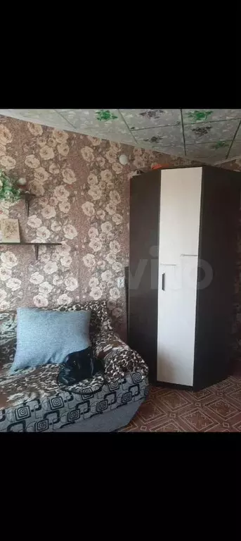 Комната 13 м в 1-к., 3/5 эт. - Фото 1