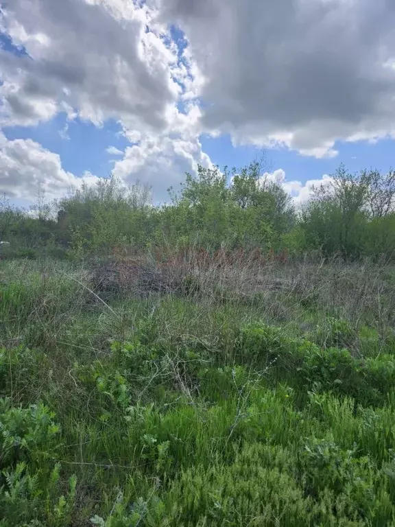 Участок в Ростовская область, Аксайский район, Мишкинская ст-ца ... - Фото 0