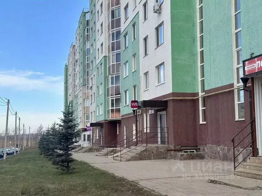 Торговая площадь в Башкортостан, Туймазы просп. Победы, 3 (103 м) - Фото 0