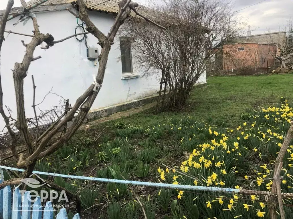 Дом в Крым, Сакский район, Суворовское с/пос, с. Великое ул. ... - Фото 2