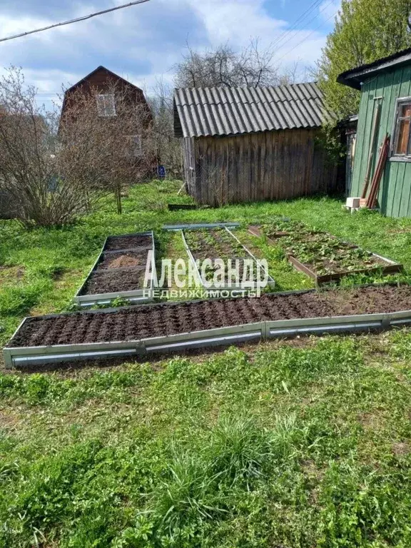 Дом в Ленинградская область, Приозерский район, Петровское с/пос, ... - Фото 2