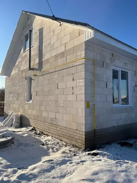 Коттедж в Алтайский край, Барнаул городской округ, пос. Черницк ул. ... - Фото 2