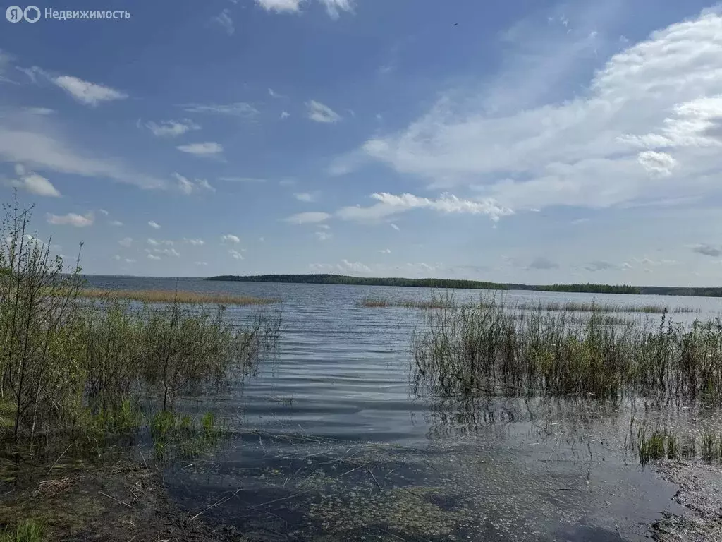Квартира-студия: Чебаркуль, Нагорная улица, 4 (30 м) - Фото 2