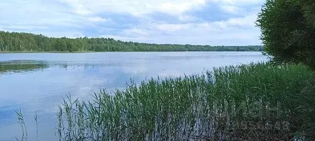 Участок в Новгородская область, Валдайский район, Короцкое с/пос, пос. ... - Фото 1