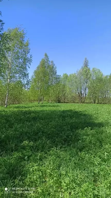 Участок в Вологодская область, Череповецкий район, Югское ... - Фото 1