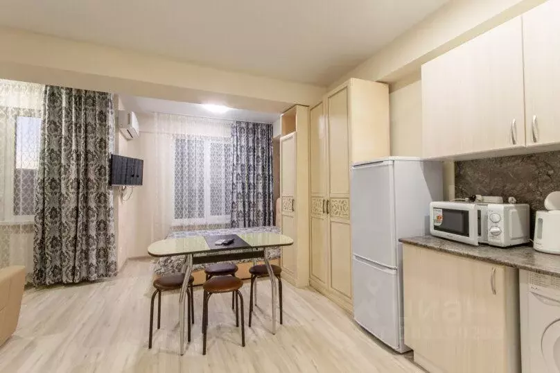 1-к кв. Краснодарский край, Сочи городской округ, Дагомыс пгт ул. ... - Фото 2