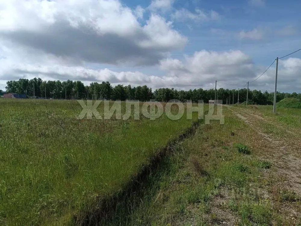 Участок в Новосибирская область, Новосибирский район, Морской ... - Фото 0