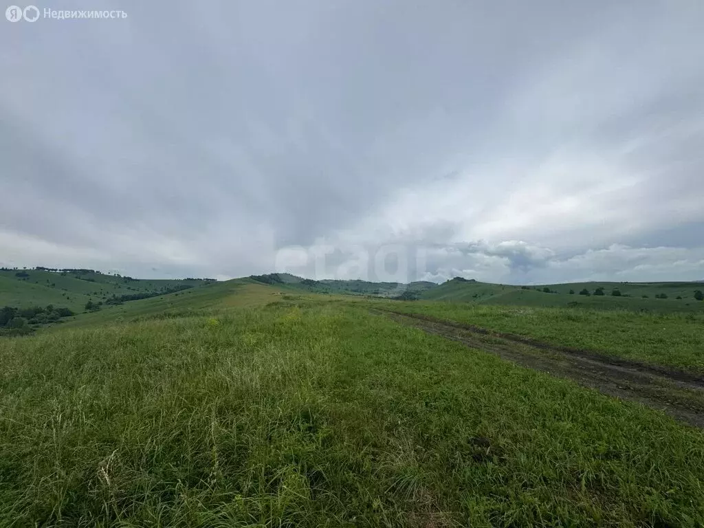 Участок в Алтайский район, ДНТ Жемчужина Алтая, Звездный бульвар (10.5 ... - Фото 2