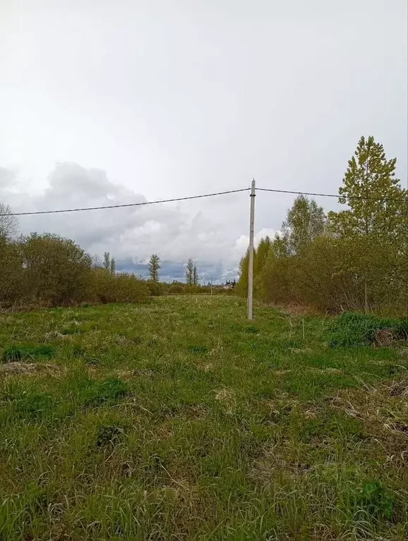 Участок в Новгородская область, Сольцы г. Солецкий муниципальный ... - Фото 0