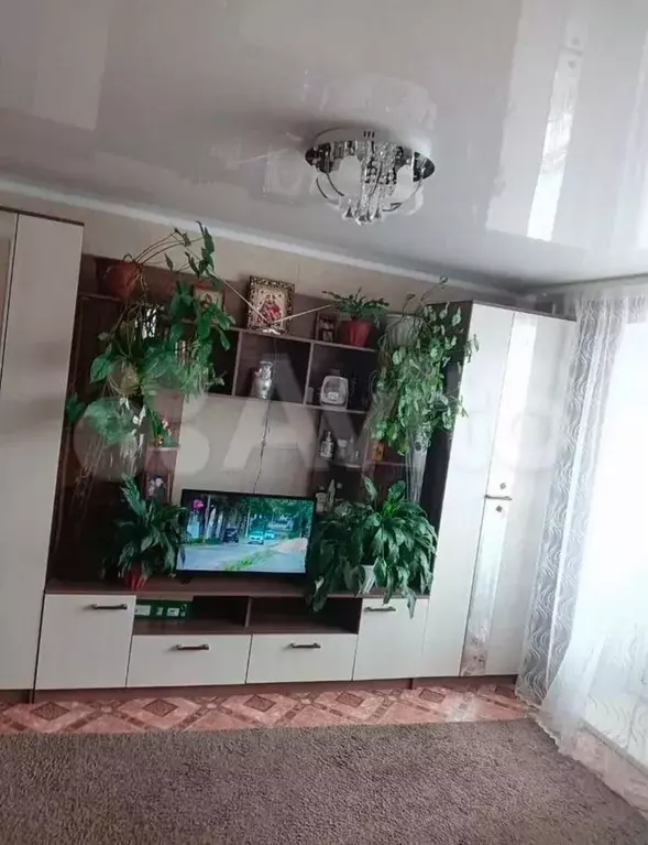 1-к. квартира, 32 м, 5/5 эт. - Фото 1