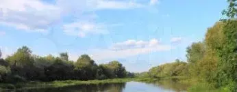 Участок 31,2 сот. (ИЖС) - Фото 0