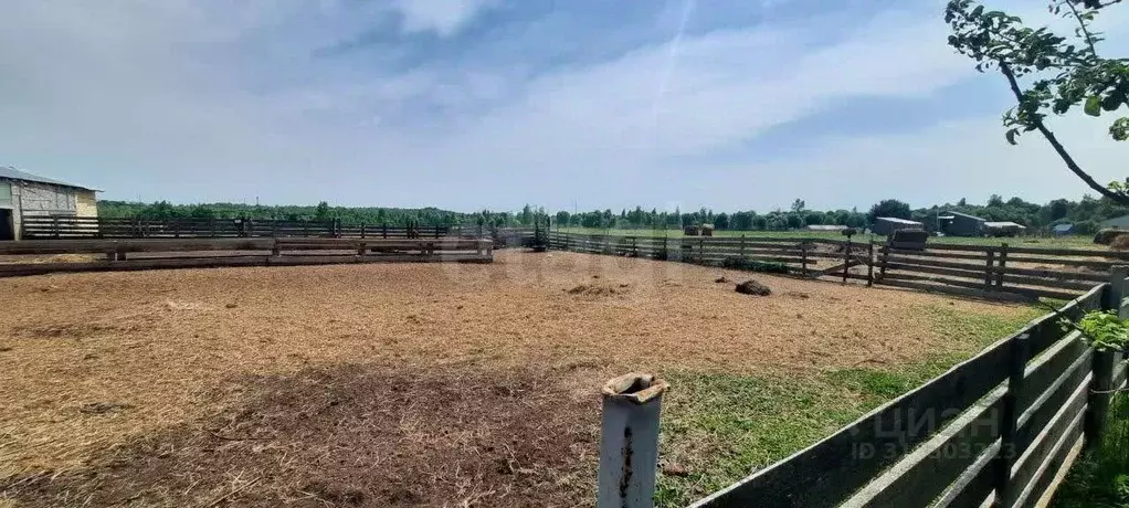 Участок в Калужская область, Козельский район, Деревня Плюсково с/пос, ... - Фото 2