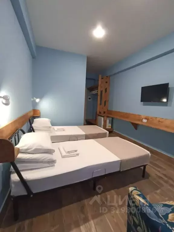 Комната Краснодарский край, Сочи городской округ, Дагомыс пгт ул. ... - Фото 1