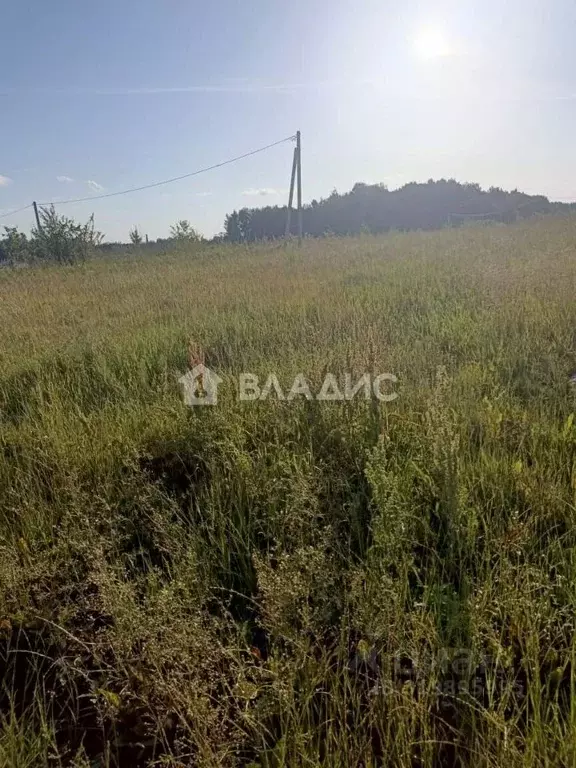 Участок в Калужская область, Калуга городской округ, д. Матюнино  ... - Фото 2