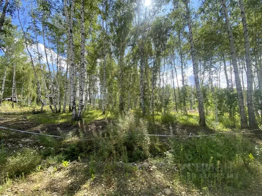 Участок в Иркутская область, Иркутский муниципальный округ, пос. Новая ... - Фото 2