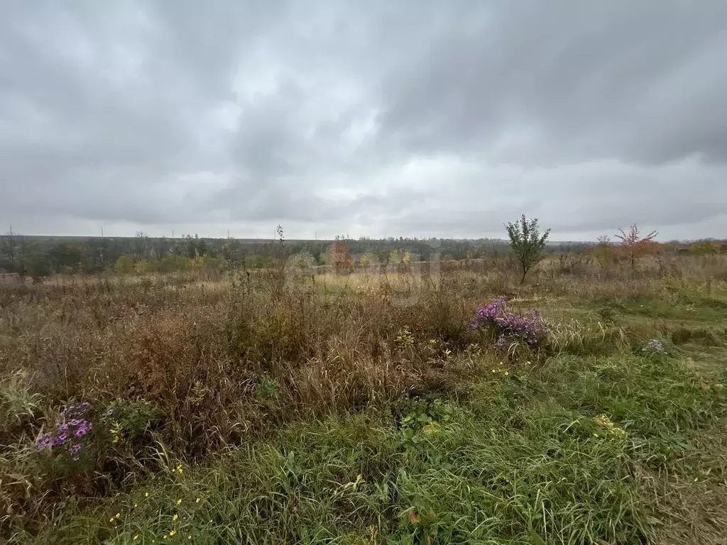 Участок в Белгородская область, Белгородский район, Беломестненское ... - Фото 1
